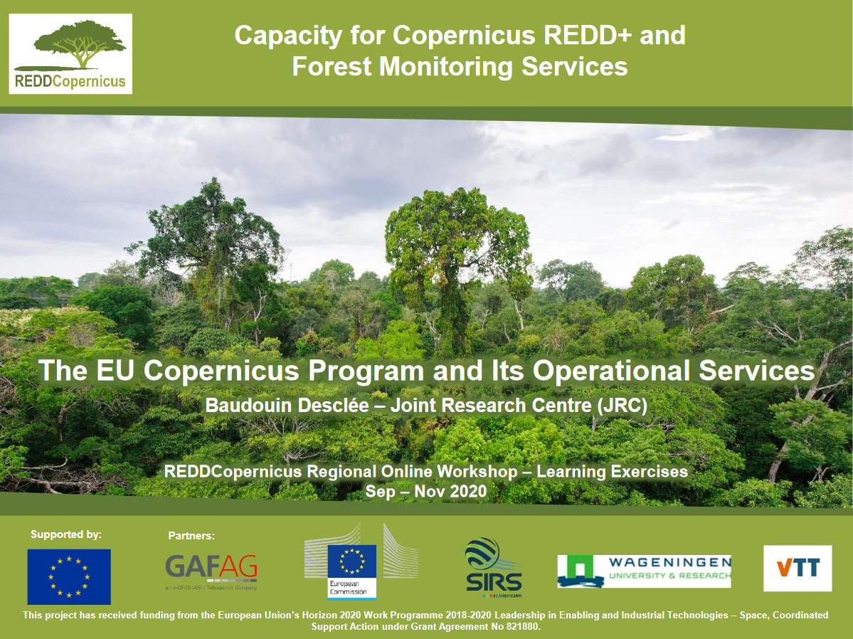 Downloads – Forest | REDDCopernicus