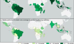 A study supported by REDDCopernicus has recently released the article “Tropical Forest Monitoring: Challenges and Recent Progress in Research”