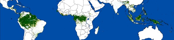 Read more about the article Pan-tropical mapping to track long-term (1990-2020) deforestation and degradation in tropical moist forests: release of the updated dataset up to year 2020