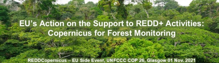 Read more about the article REDDCopernicus – COP26 Side Event
