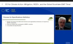 COP26 Side Event – REDDCopernicus Presentation